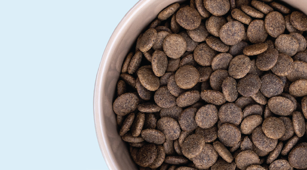 Understanding Meat Meal in Dog Food: A Sunny's Dog Food Guide