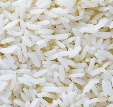 Why Sunny's Opts Out of Rice in Our Dog Food Recipes